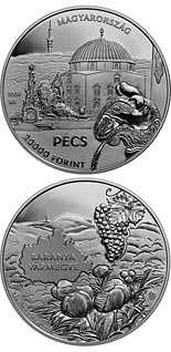 20000 forint coin Pécs, Baranya County | Hungary 2024