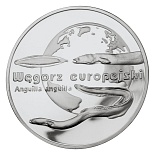 20 zloty coin European Eel | Poland 2003