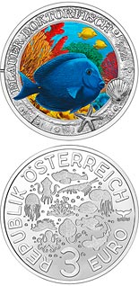 3 euro coin Blue Doctorfish | Austria 2024