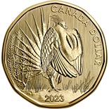 1 dollar coin Greater sage-grouse | Canada 2023